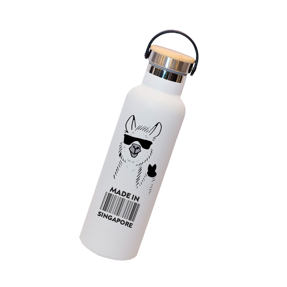 Insulated Sports Flask + (FREE GIFT)