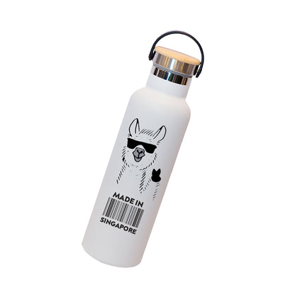 Insulated Sports Flask + (FREE GIFT)